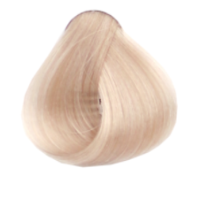 S.02 Cider.PNG