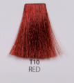 T10.PNG
