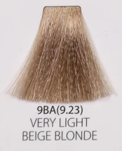 9BA.PNG