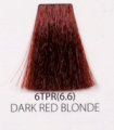 6TPR.PNG