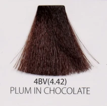 4BV.PNG