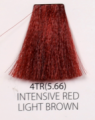 4TR.PNG