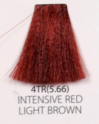 4TR.PNG
