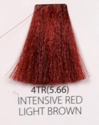 4TR.PNG