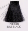 1NB.PNG