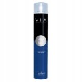 LECHER-VIA-SPRAY-GO-bardzo-mocny-lakier-750ml.jpg